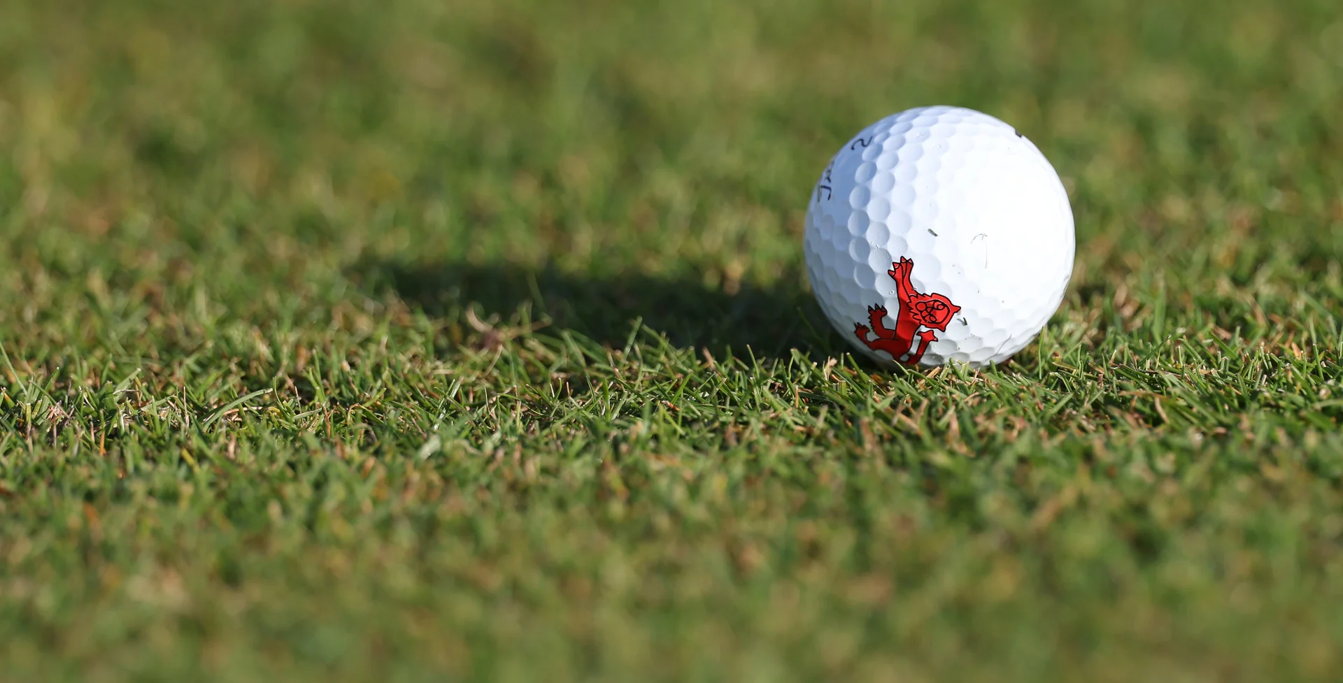 The Walker Cup the-walker-cup